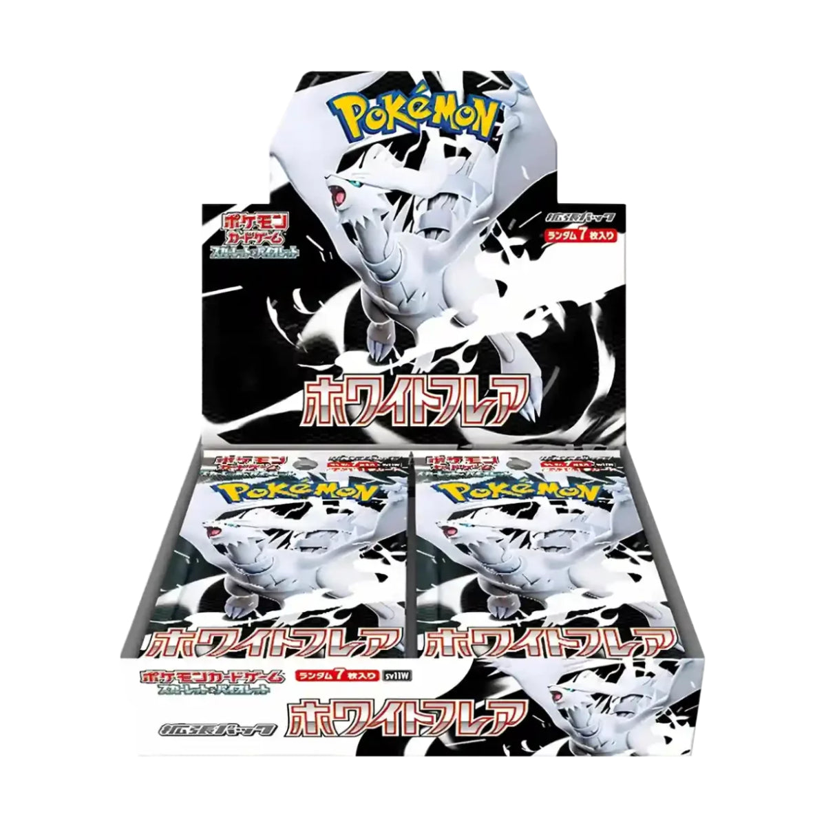 Pokemon White Flare Display Japanisch